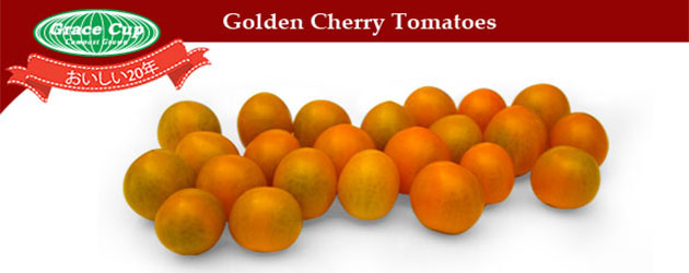 grace cup compost grown golden cherry tomatoes