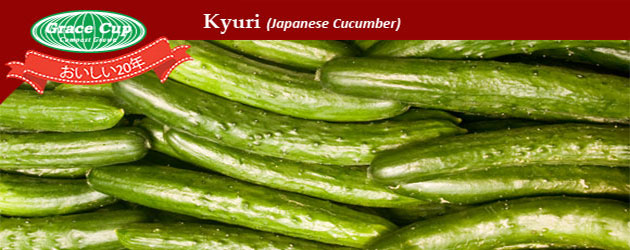 grace cup compost grown kyuri japanese cucumber