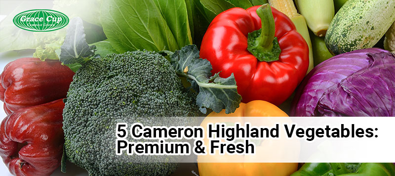 5 Cameron Highland Vegetables: Premium & Fresh
