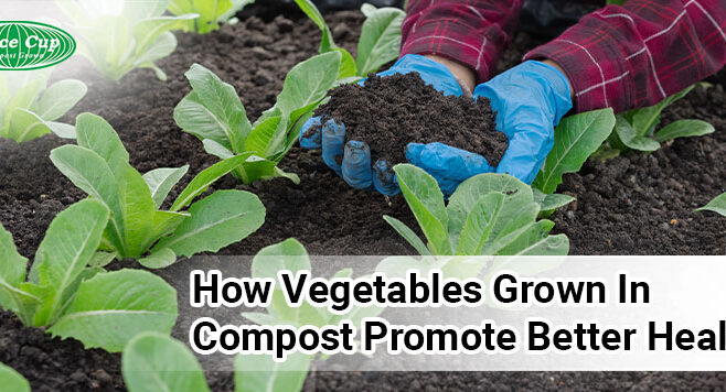 How Vegetables Grown In Compost Promote Better Health