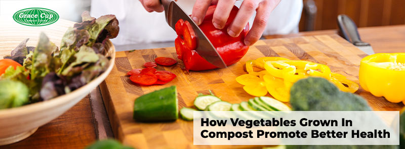 How Vegetables Grown In Compost Promote Better Health
