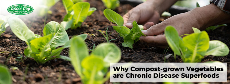 Why Compost-grown Vegetables are Chronic Disease Superfoods