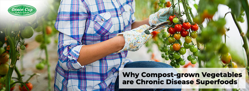 Why Compost-grown Vegetables are Chronic Disease Superfoods