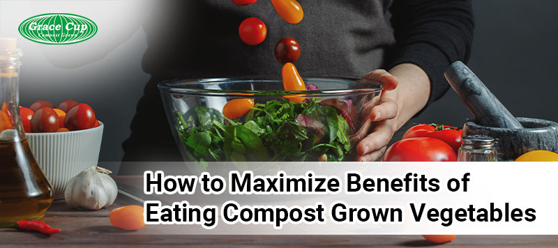 How to Maximize Benefits of Eating Compost Grown Vegetables